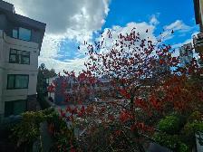 Two bedrooms Suite in Fraser Heights for Rent - Photo 10