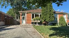 Semi Detached Raised Bungalow in Mississauga (Downstairs Unit)