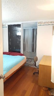 Nice Large Room with own private Bathroom in a well kept condo - Photo 4