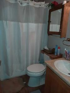 Mobile Home - Photo 7