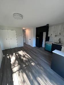superbe 4 1/2  tout rénové , comme un condo . - Photo 3