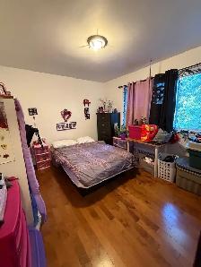 1150$ - 3 1/2 à louer à Verdun - for rent in Verdun - Photo 2