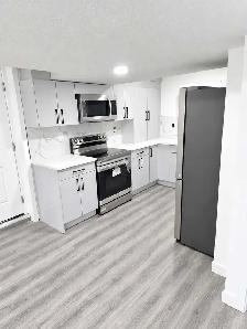 Beautiful Basment for rent available now