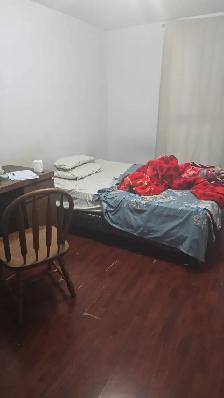 Private room for rent near UTSC and Centennial College 700$ - Photo 2