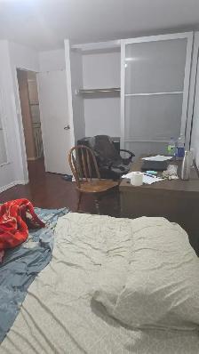 Private room for rent near UTSC and Centennial College 700$ - Photo 3
