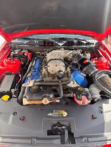 2014 Ford Mustang Shelby GT500 Convertible - Photo 6