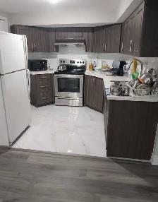 1 Bedroom Basement for Rent