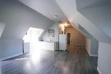 Spacious 7-Bed House in Prince of Wales! Near AC&Carleton! - Photo 3