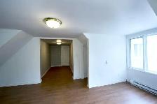 Spacious 7-Bed House in Prince of Wales! Near AC&Carleton! - Photo 9