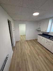 Magnifique 2 1/2, Limoilou secteur Maizeret/Bardy, Rénové, libre - Photo 2