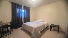 Private Rooms for Rent Close by Londonderry Mall - Photo 4