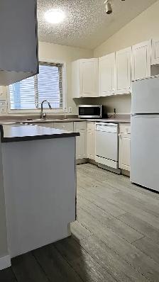 Private Rooms for Rent Close by Londonderry Mall - Photo 8