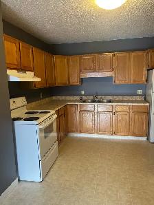 Apartment/ Condo For Rent - Photo 4