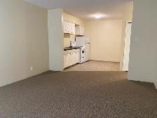 1 bed available now at Elliot Manor! - Photo 2