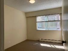 1 bed available now at Elliot Manor! - Photo 5