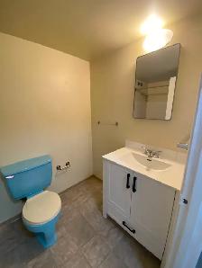 1 bed available now at Elliot Manor! - Photo 7