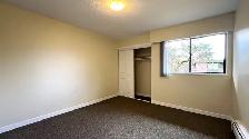 LIMITED TIME OFFER! Renovated 1B available at Delta West! CAT OK - Photo 9