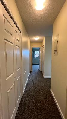 LIMITED TIME OFFER! Renovated 1B available at Delta West! CAT OK - Photo 11