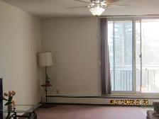 for rent