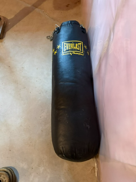 100 LB Punching Bag For Sale