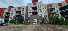 Move-In Ready 2-Bed, 2-Bath Condo in Ambleside