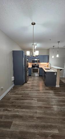 Move-In Ready 2-Bed, 2-Bath Condo in Ambleside - Photo 6