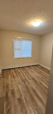 Move-In Ready 2-Bed, 2-Bath Condo in Ambleside - Photo 7