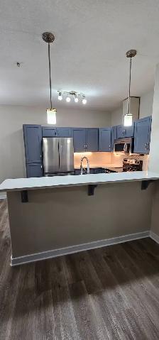 Move-In Ready 2-Bed, 2-Bath Condo in Ambleside - Photo 26