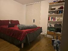 Room for Rent – Gatineau (J9J2c7) | $750 All-InclusiveOne furni - Photo 2