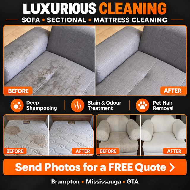 PROFESSIONAL CARPET CLEANING AND SOFA SHAMPOOING