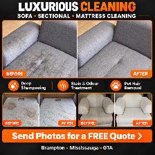 PROFESSIONAL CARPET CLEANING AND SOFA SHAMPOOING