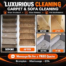 PROFESSIONAL CARPET CLEANING AND SOFA SHAMPOOING - Photo 2