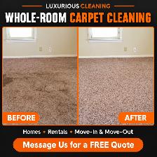 PROFESSIONAL CARPET CLEANING AND SOFA SHAMPOOING - Photo 3