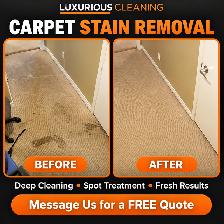 PROFESSIONAL CARPET CLEANING AND SOFA SHAMPOOING - Photo 8
