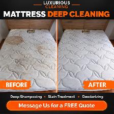 PROFESSIONAL CARPET CLEANING AND SOFA SHAMPOOING - Photo 10