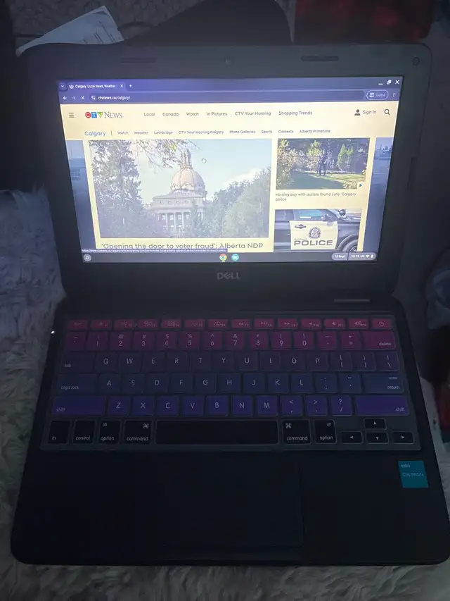 Dell Chromebook 3110