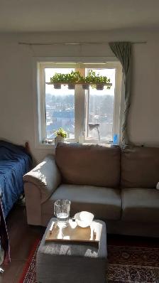 NewHome,Parking,Young Professional, Eglinton LRT(Caledonia STN) - Photo 3