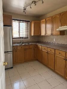 House for Rent (Islington & Finch W) (VEGETARIAN) - Photo 3