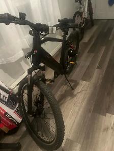 Vélo électrique Stoneridge Cycle