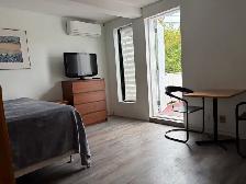 STUDIO / ROXBORO-MONTREAL / ALL INCLUDED & FURNISHED - Photo 2