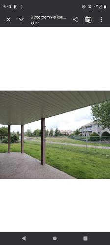 Beautiful 3 Bedroom Walkout basement suite available October 1 - Photo 6