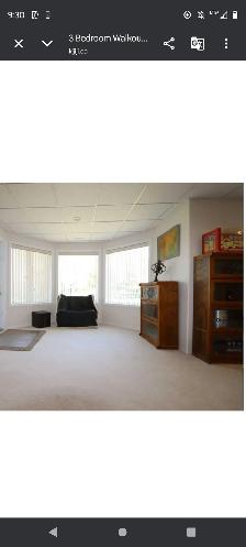 Beautiful 3 Bedroom Walkout basement suite available October 1 - Photo 7