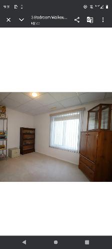 Beautiful 3 Bedroom Walkout basement suite available October 1 - Photo 9