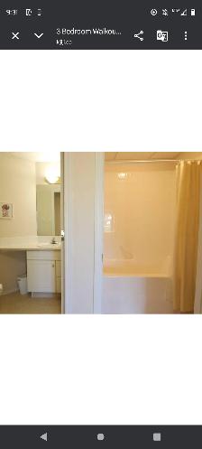 Beautiful 3 Bedroom Walkout basement suite available October 1 - Photo 11