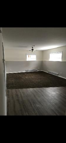 East side Basement suite