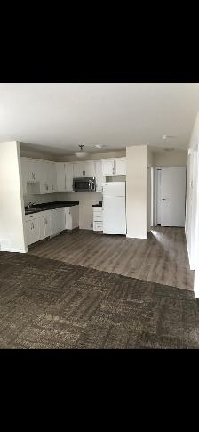 East side Basement suite - Photo 3