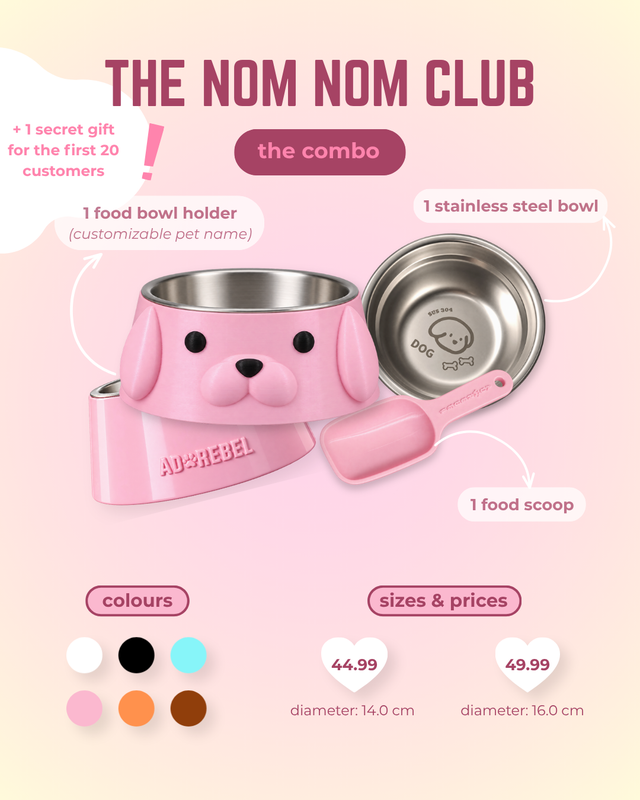 Dog Food Bowl  Holder   Stainless Steel Bowl   Food Scoop Combo