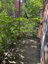 NDG, beau, tres grand 3 ½ Metro Snowdon, Villa Maria, immediate - Photo 5
