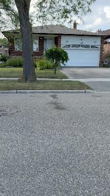 Single room for rent – ​​Sheppard / Victoria Park - Photo 7