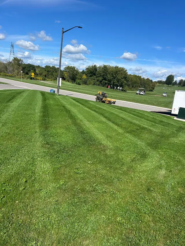 Sod mulch gardening